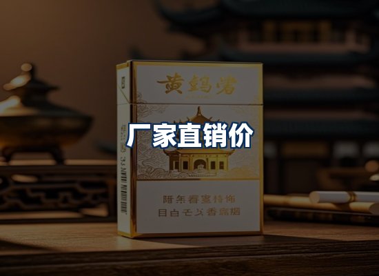 专业团队办公环境